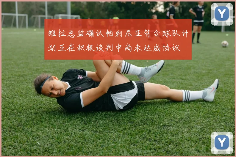 维拉总监确认帕利尼亚符合球队计划正在积极谈判中尚未达成协议