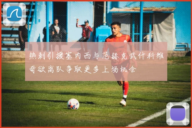 热刺引援塞内西与范赫克武什科维奇欲离队争取更多上场机会