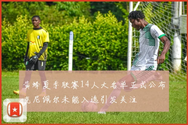 黄蜂夏季联赛14人大名单正式公布克尼佩尔未能入选引发关注